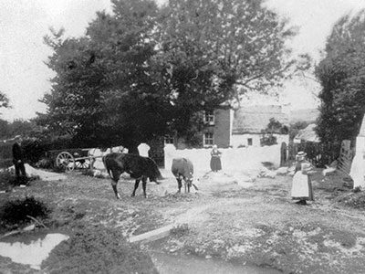 Lanmorlais Farm Early 1900