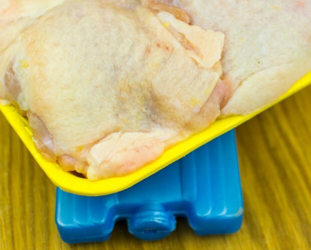 keep food safe